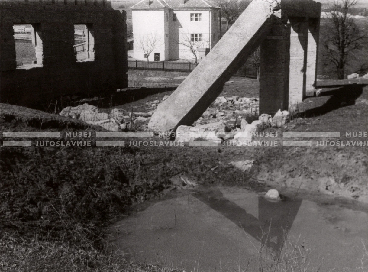 1950_005_099