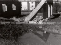 1950_005_099