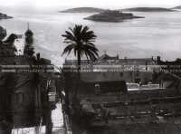 1950_005_085