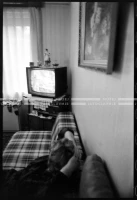 MS_14_A_29