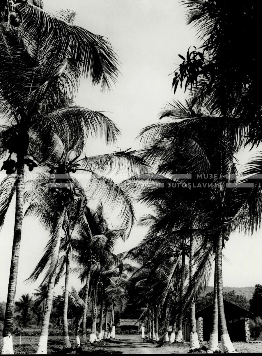1961_158_138