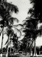 1961_158_138