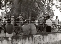 1951_010_043