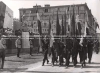 1951_010_031