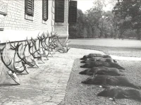 1964_252_011