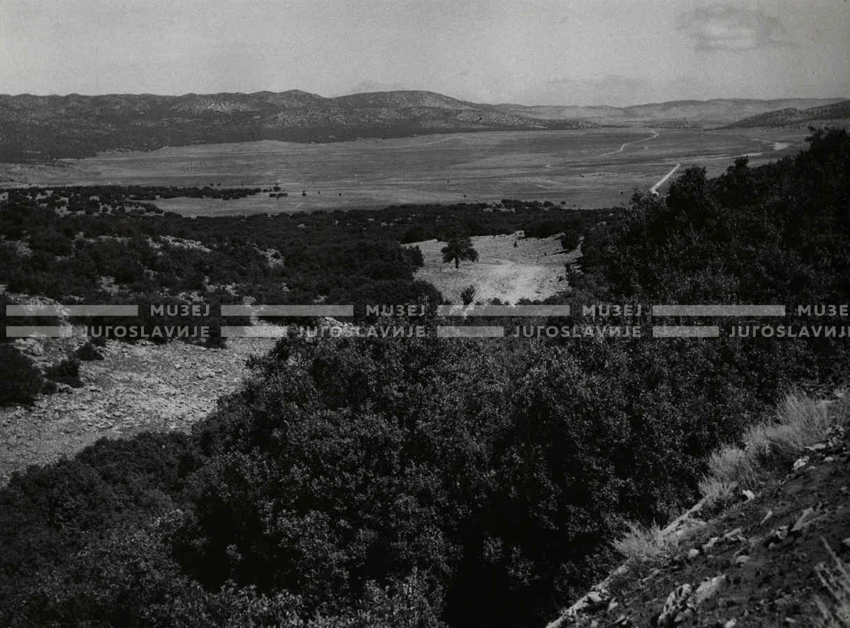 1961_160_144