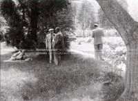 1950_007_111
