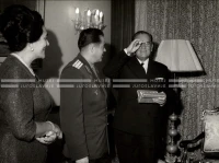 1964_252_020