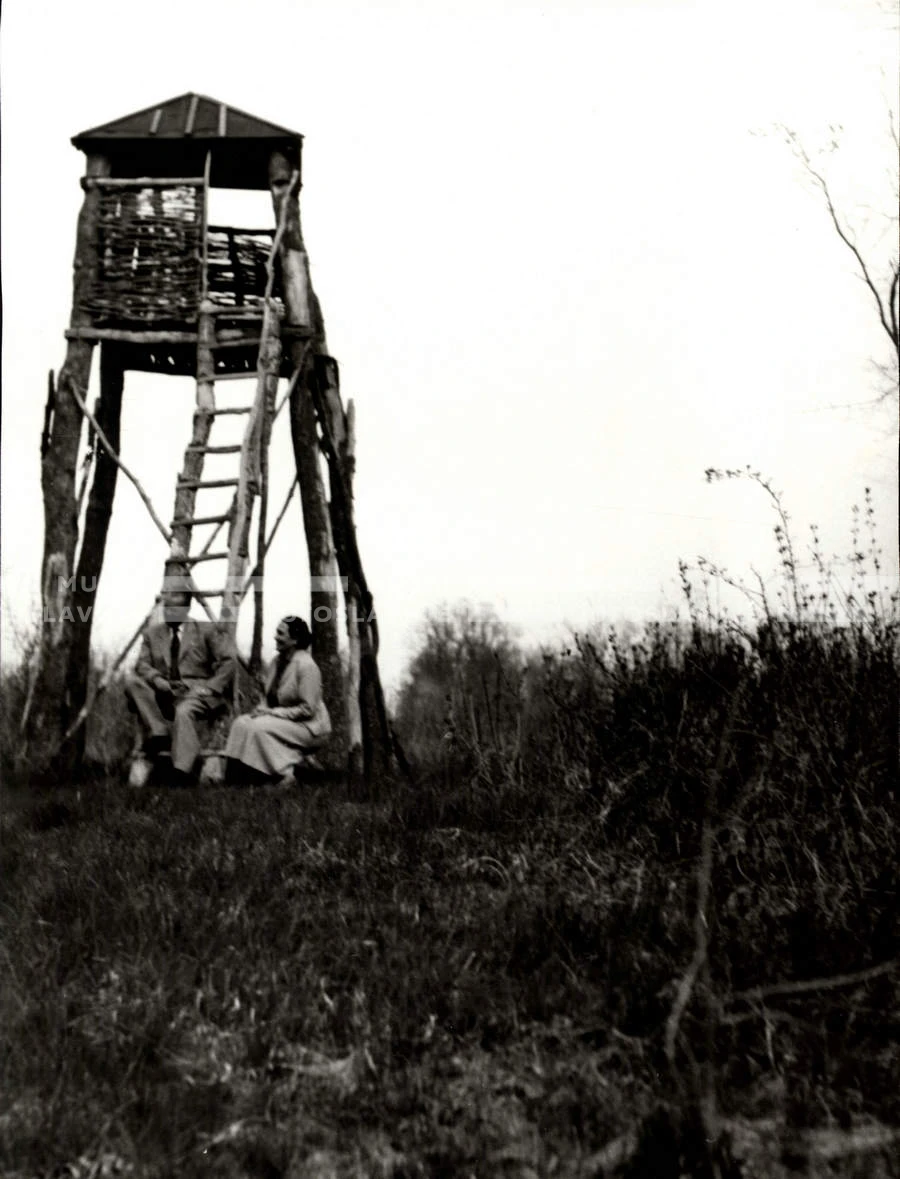 1954_028_052