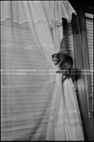 SK_26_A_1049