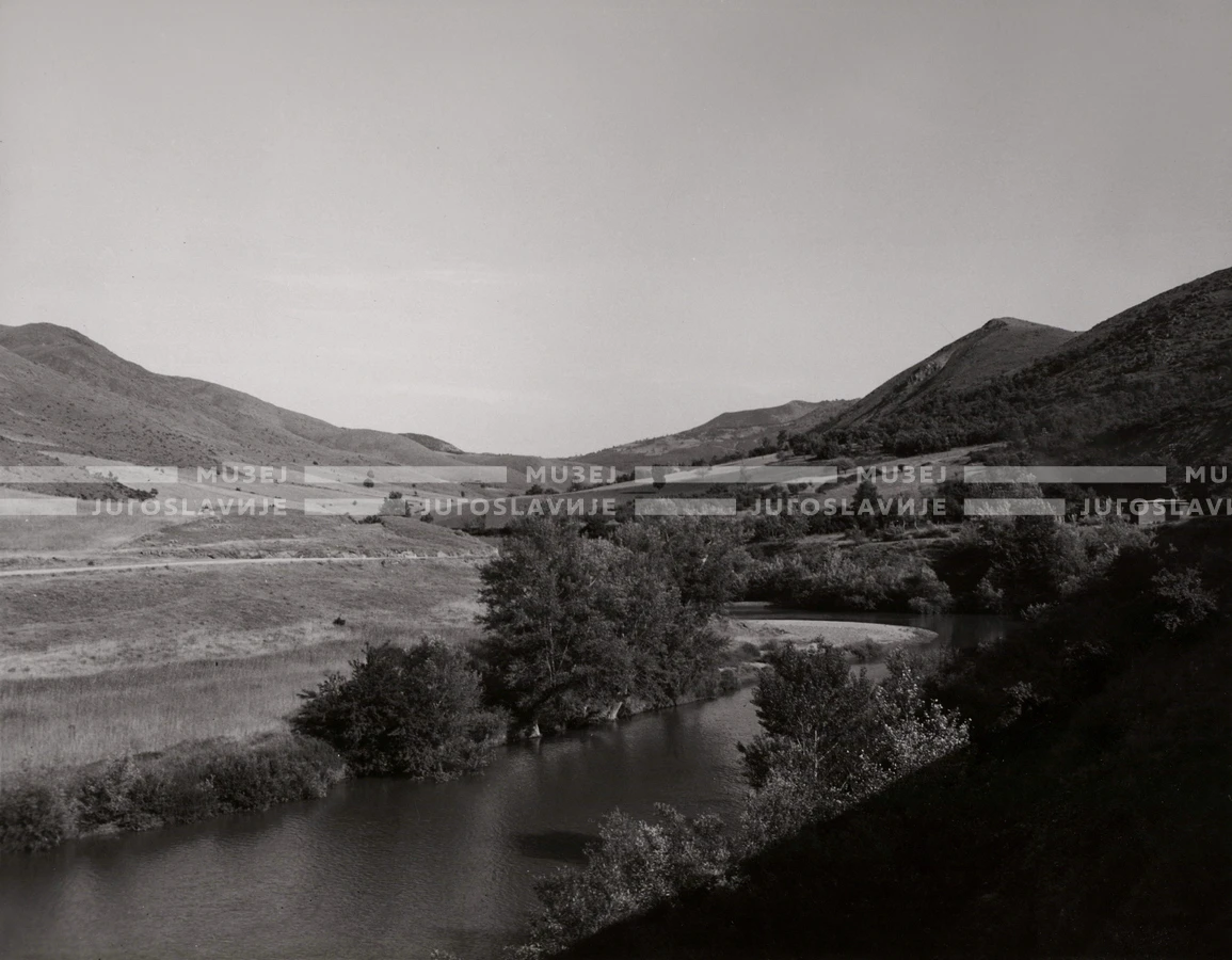 1950_006_132