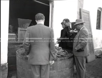 1953_024_071