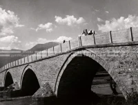 1950_006_094