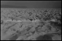 SK_25_A_0703