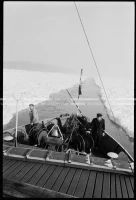 SK_25_A_0734