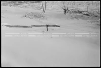 SK_25_A_0713