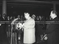 1964_252_097