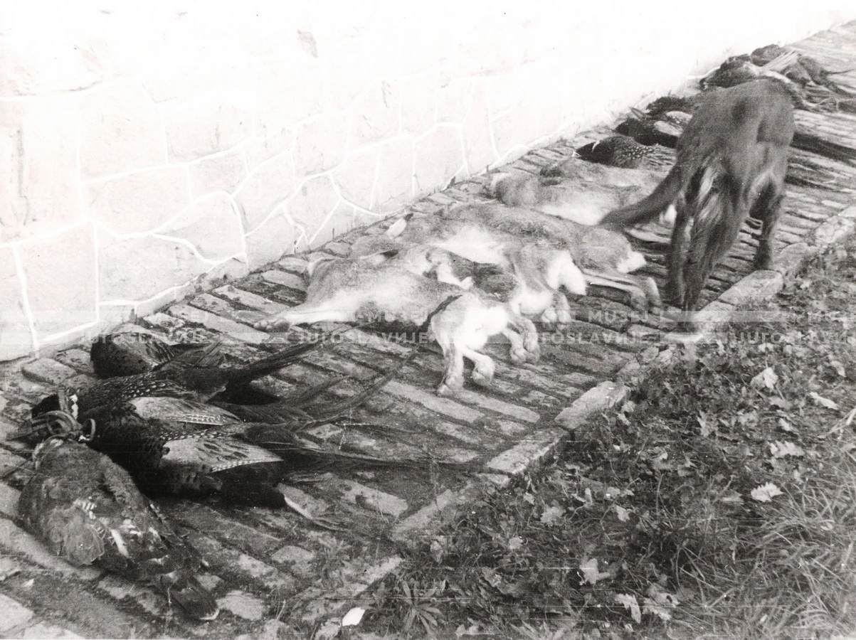 1949_004_135