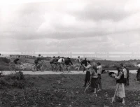 1949_003_088