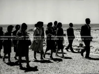 1961_164_059