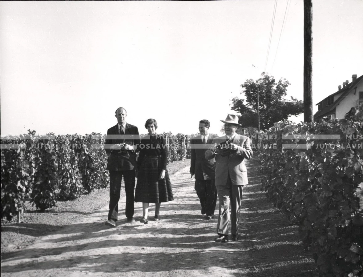 1953_024_069
