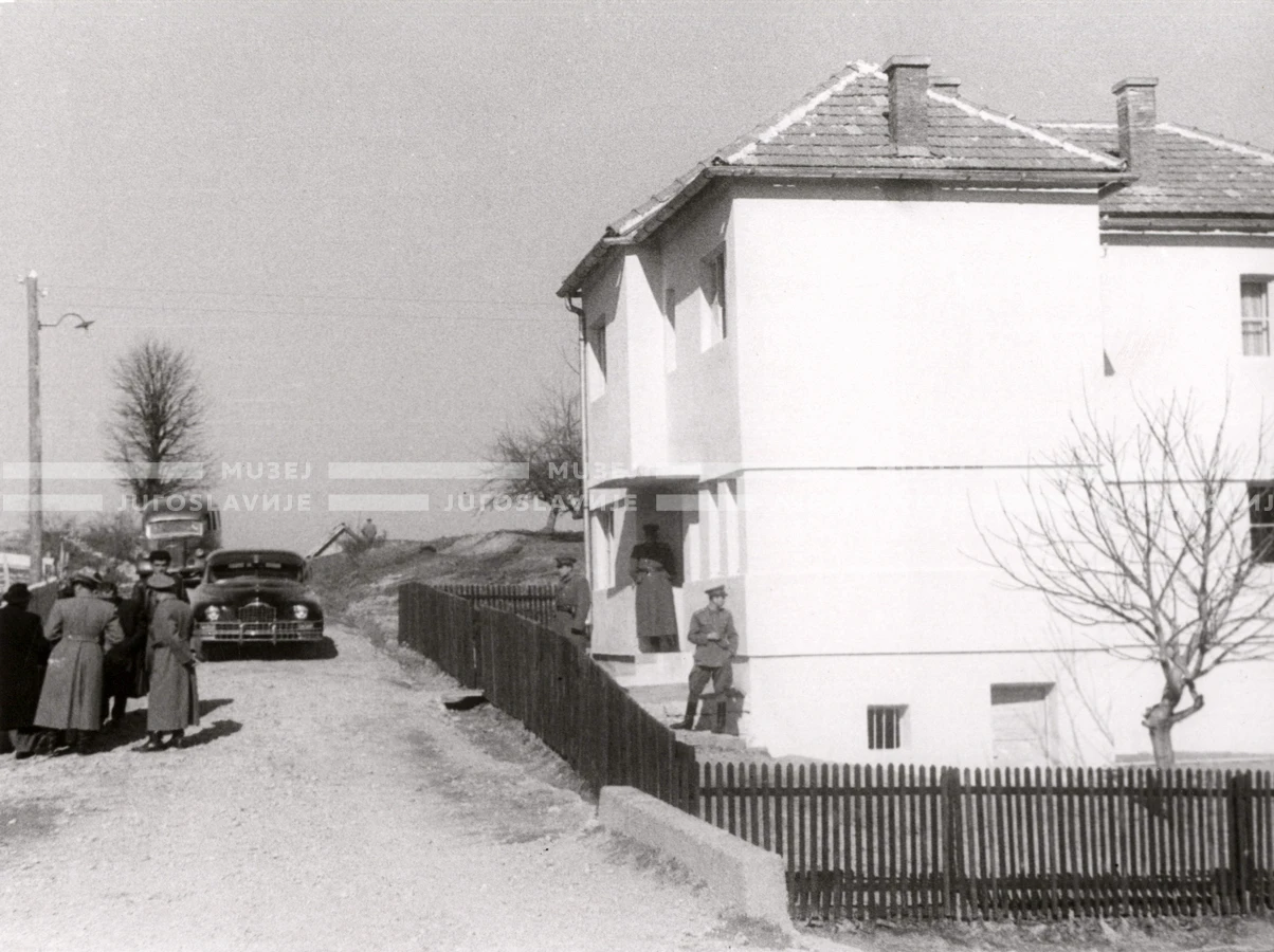 1950_005_100