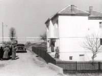 1950_005_100