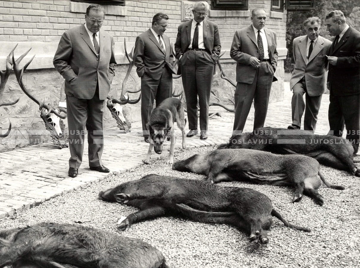 1964_252_008