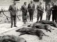 1964_252_008