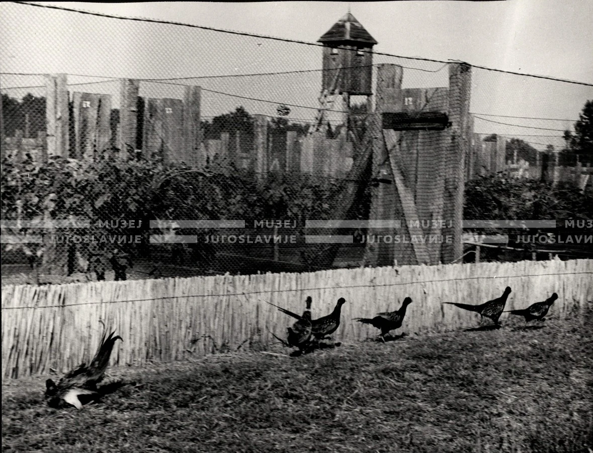 1953_023_104
