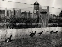 1953_023_104