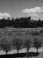 1961_160_140