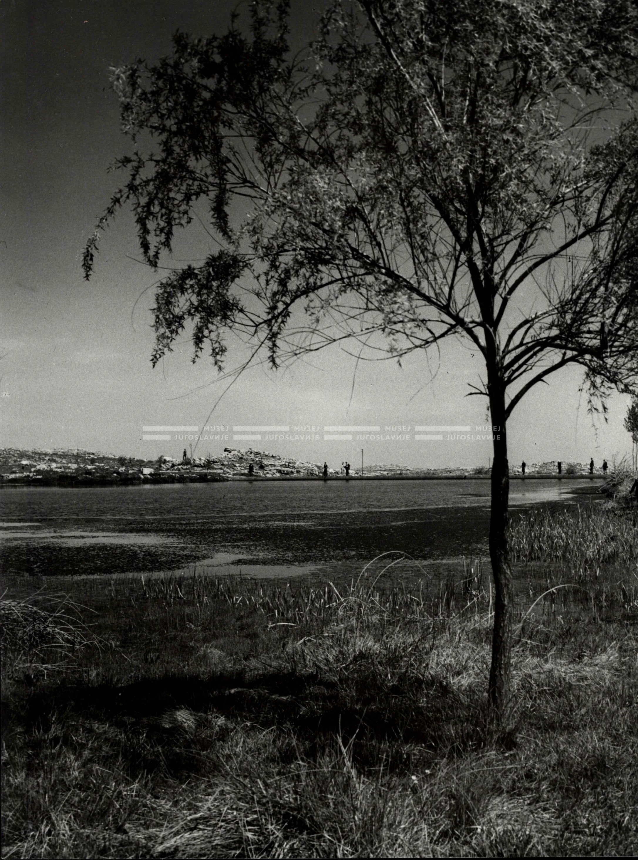 1961_161_039