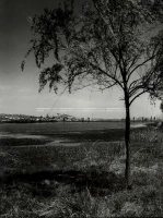 1961_161_039