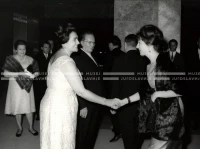 1964_252_169