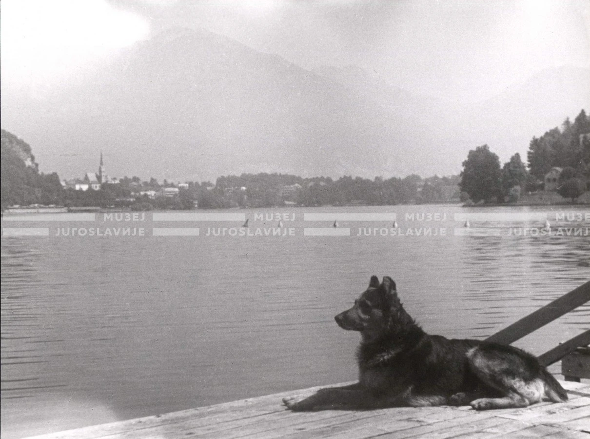1950_007_003