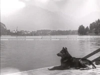 1950_007_003