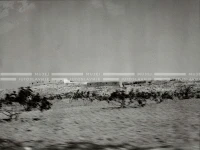 1961_164_066