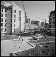 ML_B_3739