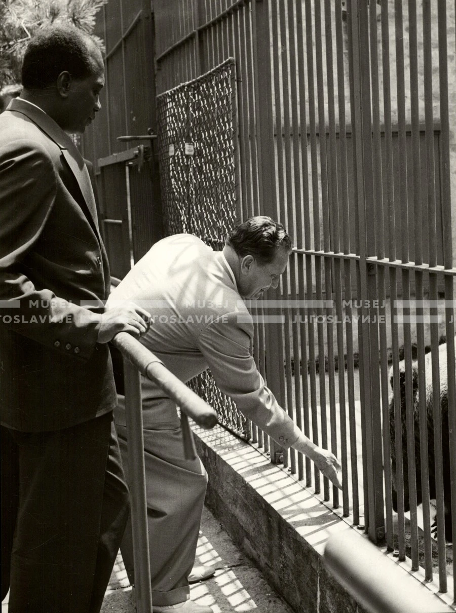1961_170_160