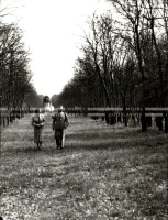 1954_028_053