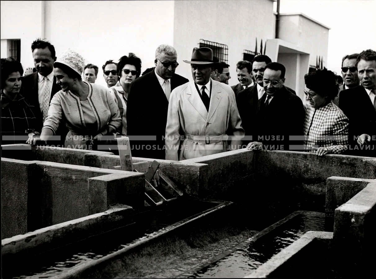 1961_163_053