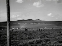 1961_161_050