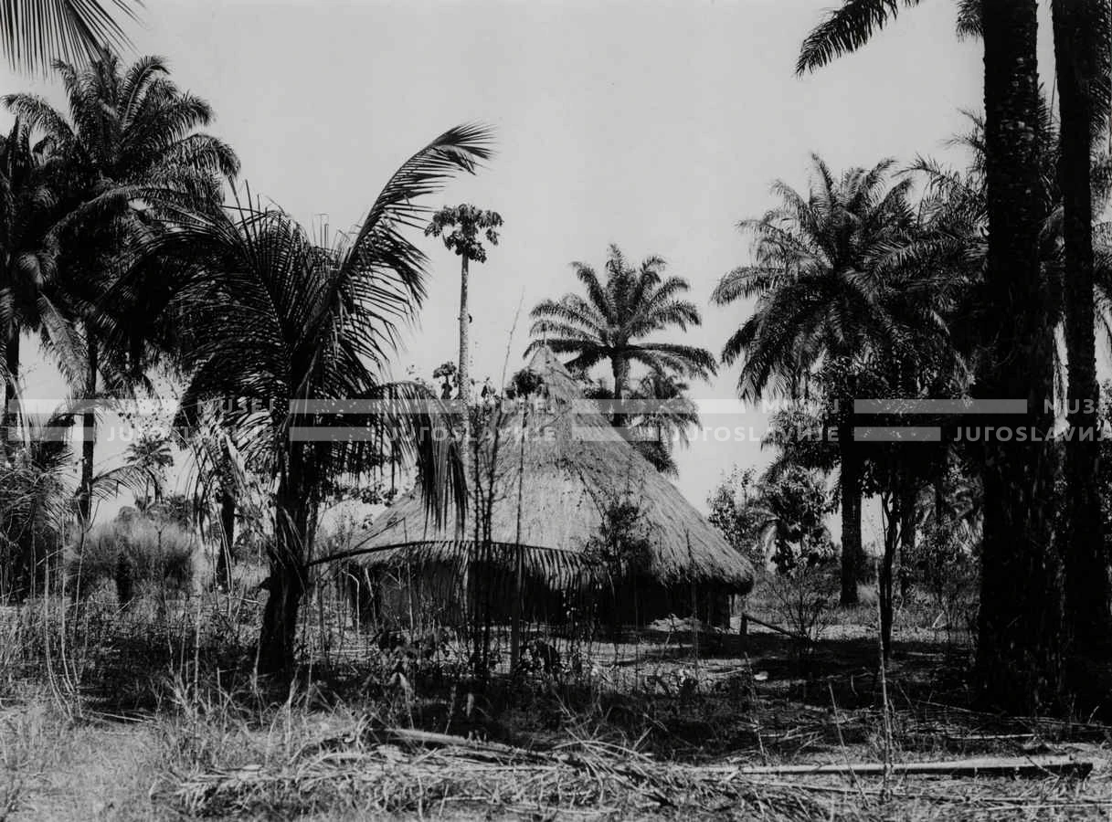 1961_157_153