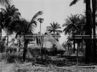 1961_157_153