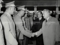 1964_252_194