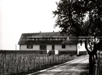 1952_013_099