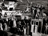1961_164_010