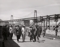 1950_006_126