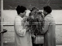1961_166_023